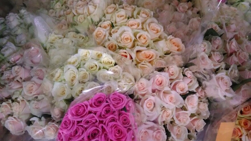 Za 8. mart najtraženiji 'boksevi' ruža - boja više nije važna