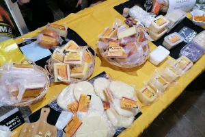 Priprema pirotskog kačkavalja u tri faze
