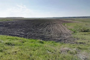 Gipsovanje poboljšava plodnost zaslanjenih zemljišta - kako?