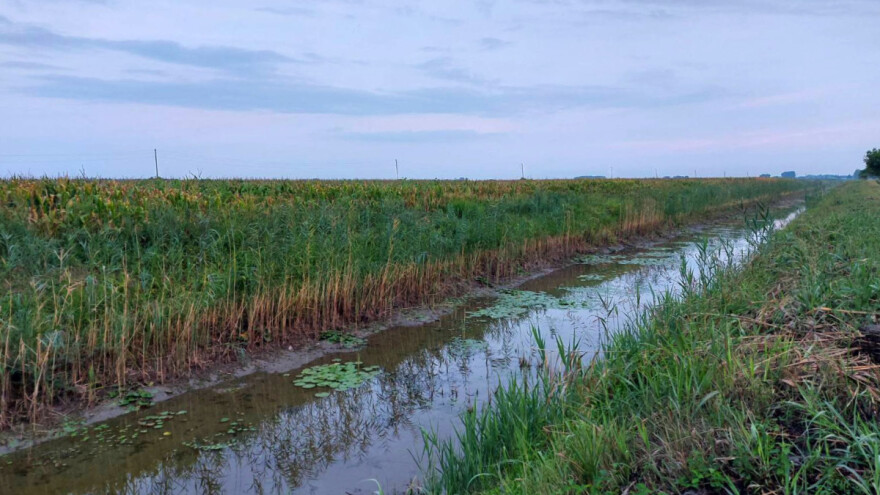Nestašica vode: Do 2050. u visokom riziku 17 posto Evropljana - gdje smo mi?