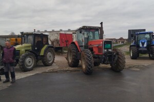 Ili suncokret 60 din/kg ili blokada puteva