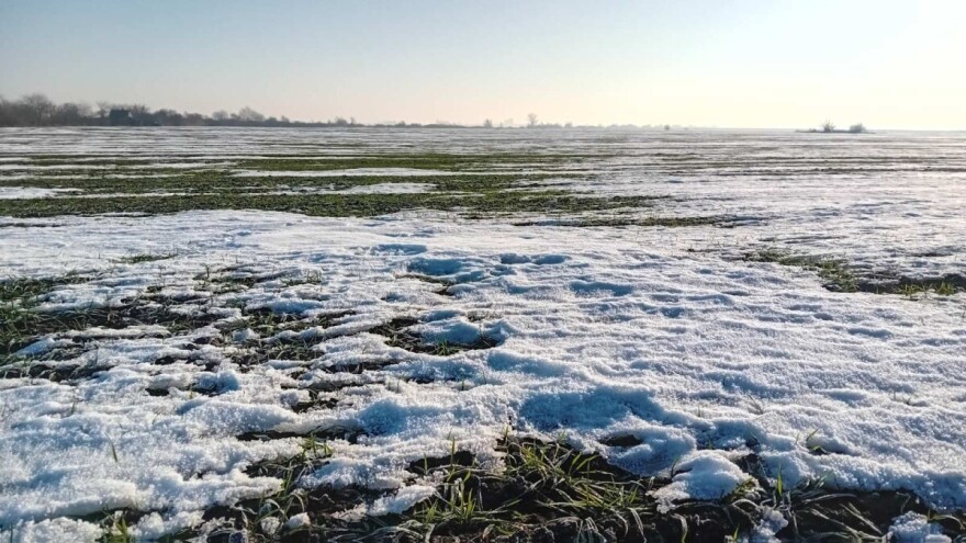 Padavine natopile zemlju, sledi porast temperatura