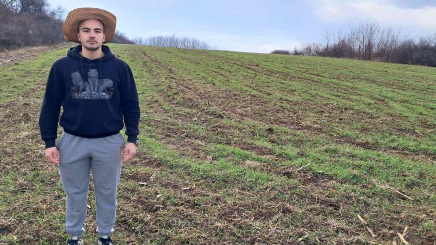 Raritet u Šumadiji: Na prodaju njiva od pet hektara - u komadu!?