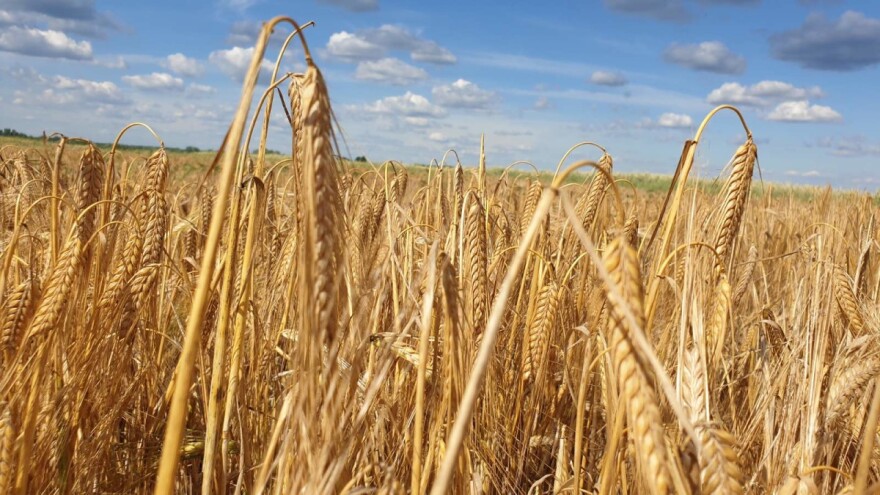 Predložen novi proračun EU: Za ZPP 55,2 milijarde eura 