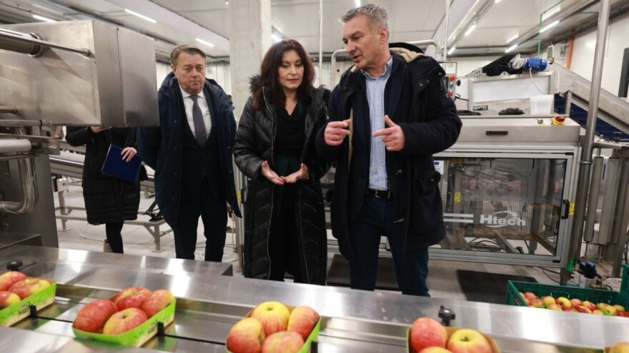 Slavonske jabuke konkurentnije na tržištu, RDC Osijek opravdao ulaganja