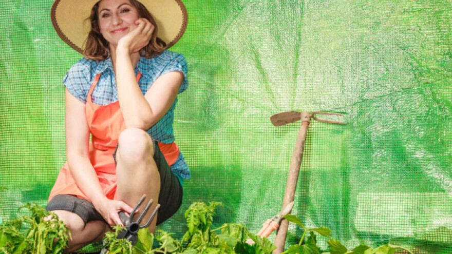 Uzgoj povrća - od vikenda do vikenda!