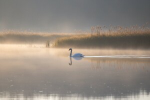 Viktor Bijelić: Pokrenut ćemo ponovo inicijativu za proglašenje Bardače kao zaštićenog područja