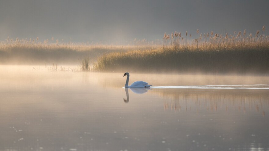 Viktor Bijelić: Pokrenut ćemo ponovo inicijativu za proglašenje Bardače kao zaštićenog područja