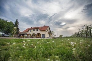 Vila Katarina u Aljmašu - čarolija s Dunava koja privlači sve veći broj gostiju