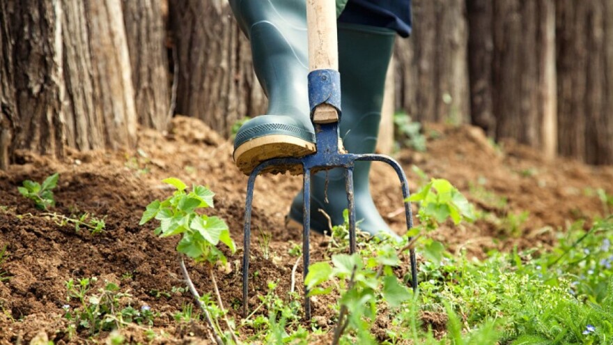 Dan planete Zemlje obilježit ćemo u vrtu ili u fotelji?