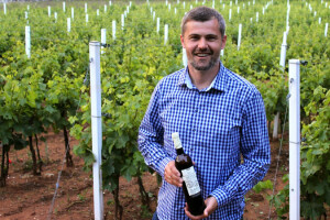 Svjetsko zlato za hercegovačko vino Podruma Vilinka