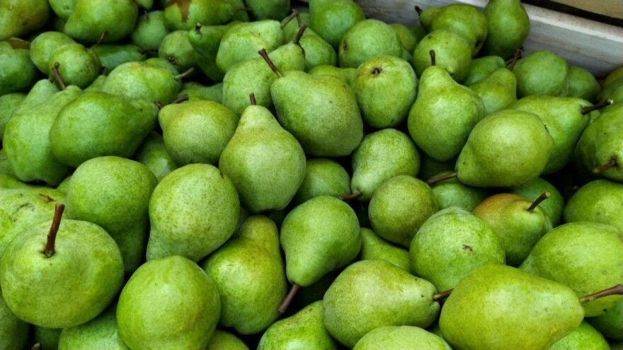 Da li je viljamovka precenjena sorta krušaka?