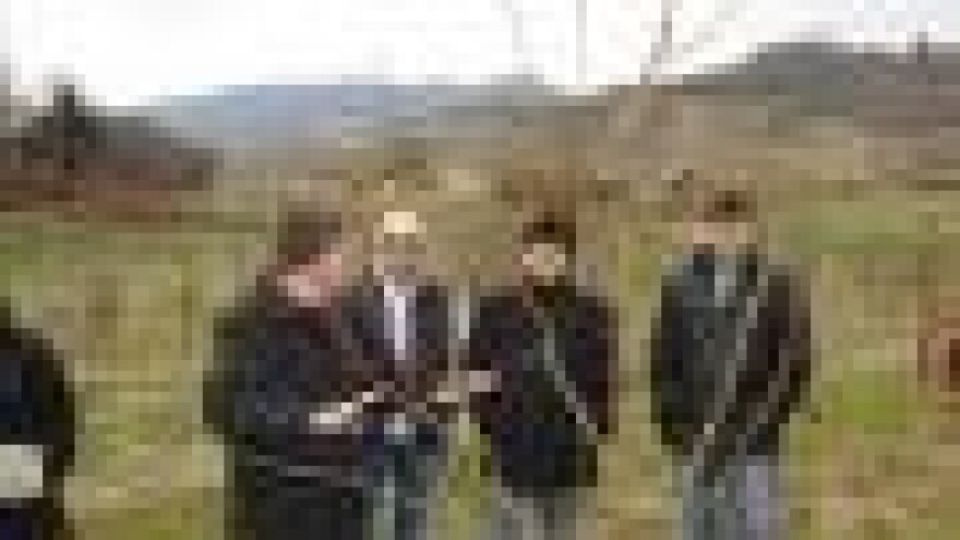 Prikaz rezidbe kruške vilijamovke