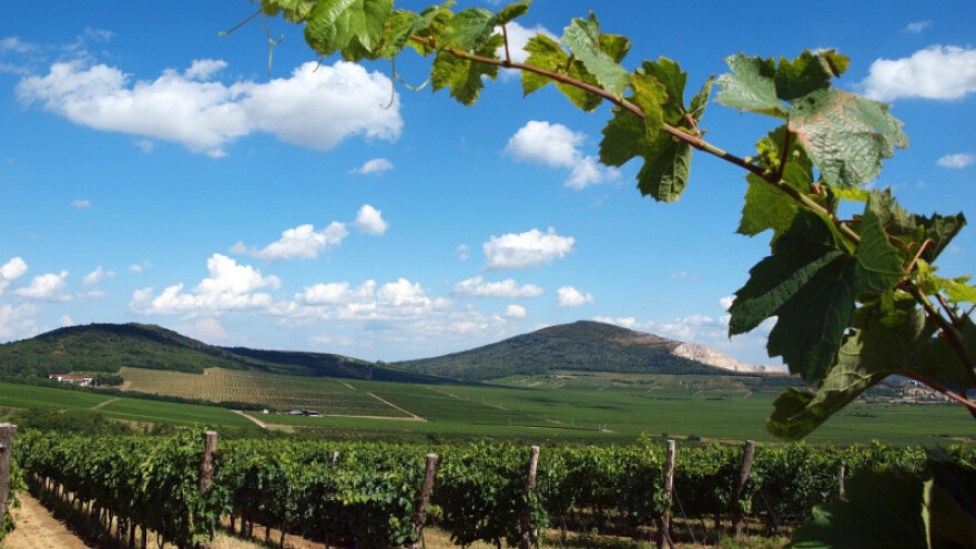 Villany - od vina do najfascinantnije europske priče