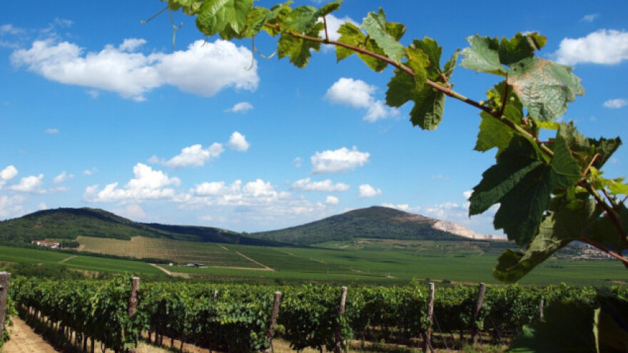 Villany - od vina do najfascinantnije evropske priče