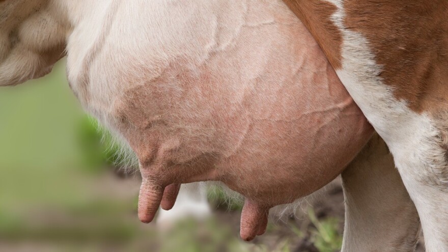 Edem vimena - posljedice i preventiva