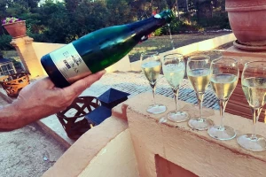 Vera de Estenas vina: Novi u registru zaštićenih oznaka porekla