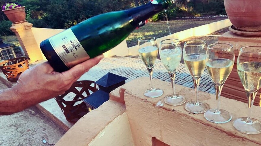 Vera de Estenas vina: Novi u registru zaštićenih oznaka porekla