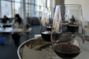 Vina iz regiona pred stručnom komisijom Novosadskog sajma