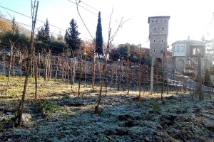 Monasi manastira Tvrdoš sačuvali tradiciju proizvodnje vina iz 16. vijeka, a sada se piju u 16 zemalja