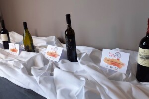 Odgođena Vina od davnina, treća revija hrvatskih autohtonih sorti