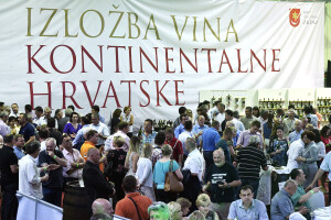 Traminac OPG-a Josip Rajaković šampion 51. Izložbe vina kontinentalne Hrvatske