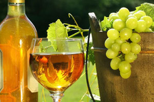 Chardonnay Mihalja Gerstmajera dobio Zlatni dukat za bijelo vino