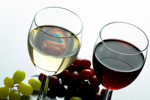U svjetskoj enciklopediji vina i hrvatski vinari
