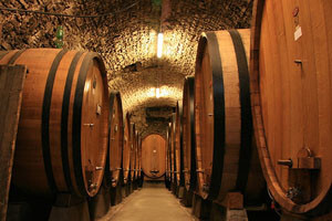 Todorićevo Belje otvara novu vinariju