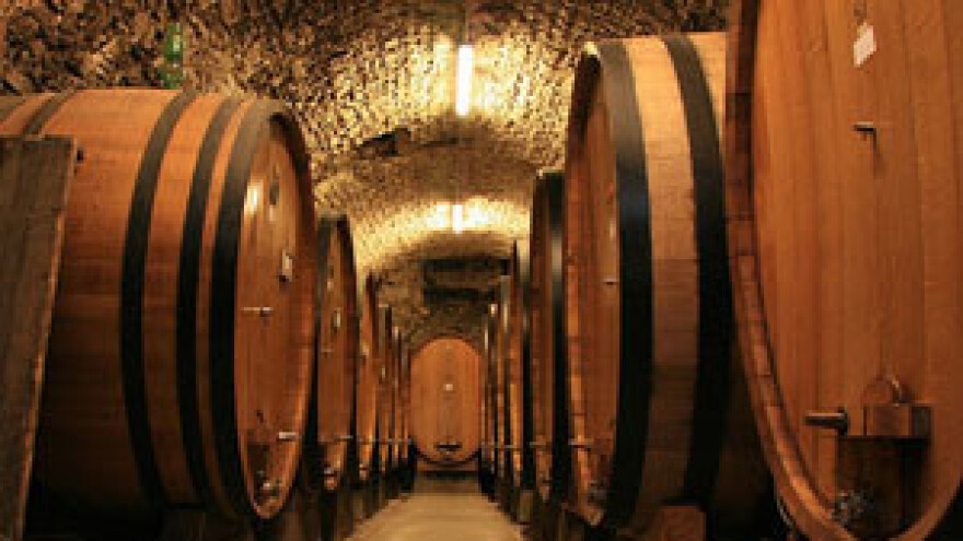 Todorićevo Belje otvara novu vinariju