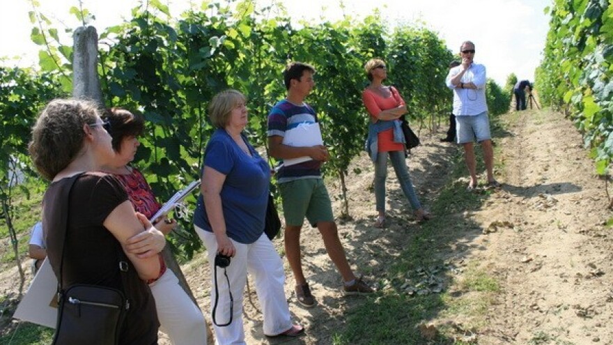 Začeci vinogradarstva u južnoj Poljskoj