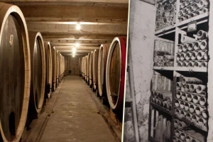 Gde se čuvaju najstarija vina u Srbiji?