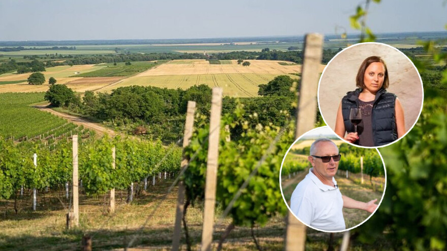 Uspješan obiteljski posao Vinarije Pinkert: otac i kći udružili snage pa proizvode 60.000 litara vina godišnje!