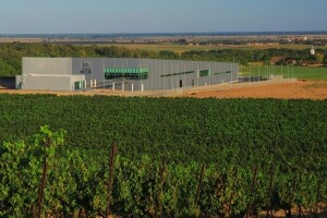 Decanter zlatna medalja beljskoj graševini Goldberg