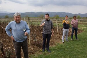 Ante Grabovac: Ovdje je za vino najveći kompliment kad ti netko kaže: "Skoro ko moje!"