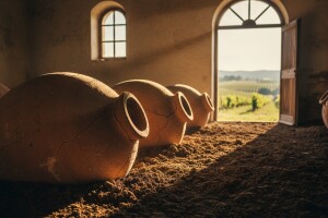 Vinarija KABOLA u istarskom Momjanu