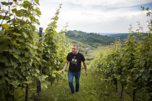 Šampeki i vina Drage Kurtalja uskoro u novim podrumima