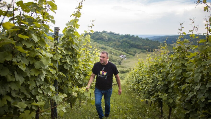 Šampeki i vina Drage Kurtalja uskoro u novim podrumima