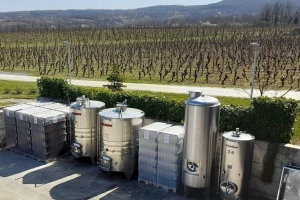 Rast će i cijena vina, skupi repromaterijal ugrozio podizanje novih nasada
