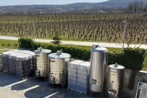 Rast će i cijena vina, skupi repromaterijal ugrozio podizanje novih nasada