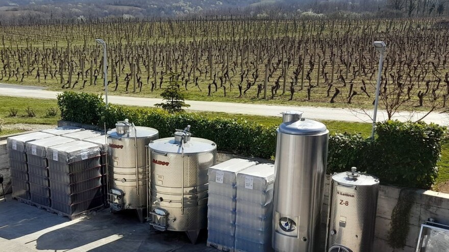 Rast će i cijena vina, skupi repromaterijal ugrozio podizanje novih nasada