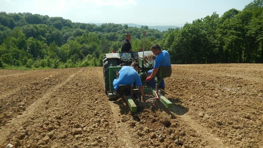 Josip Šumić: Očekujemo ekspanziju vinogradarstva u Srednjoj Bosni s ovogodišnjom berbom