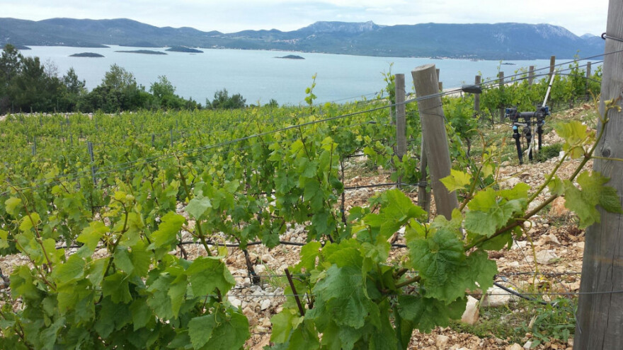 Prva međunarodna konferencija o Tribidragu