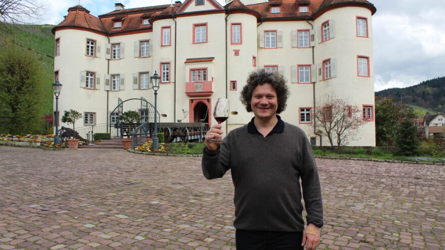 Terase i suhozidi drevnih vinograda s pogledom na dvorac za vina veće vrijednosti