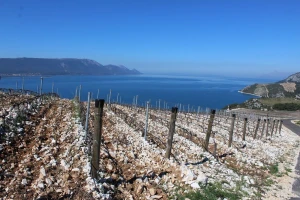 Prvi međunarodni mediteranski poljoprivredni forum Agromed