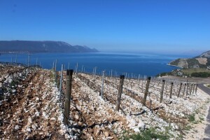 Prvi međunarodni mediteranski poljoprivredni forum Agromed