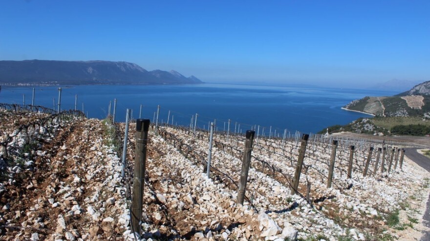 Prvi međunarodni mediteranski poljoprivredni forum Agromed