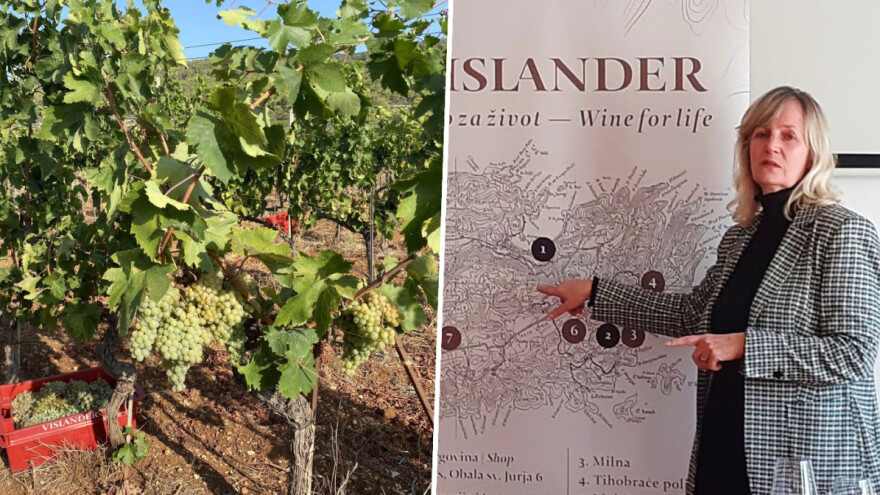 Svjetski raritetna bugava i plavac mali, ali i kuč su ono što nitko osim Visa nema