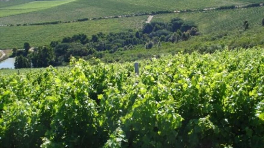 Turisti će dolaziti u vinarske krajeve