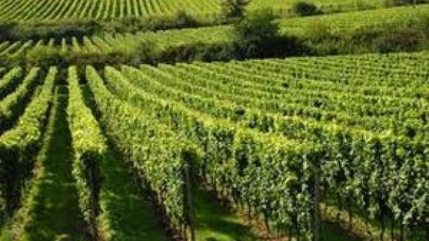 Sajam Slavin u proljetnom ruhu